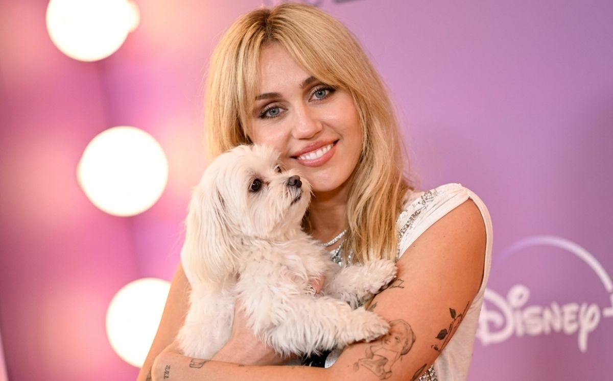 El día que “Hannah Montana” se convirtió en heroína de los perros; así lo hizo Miley Cyrus